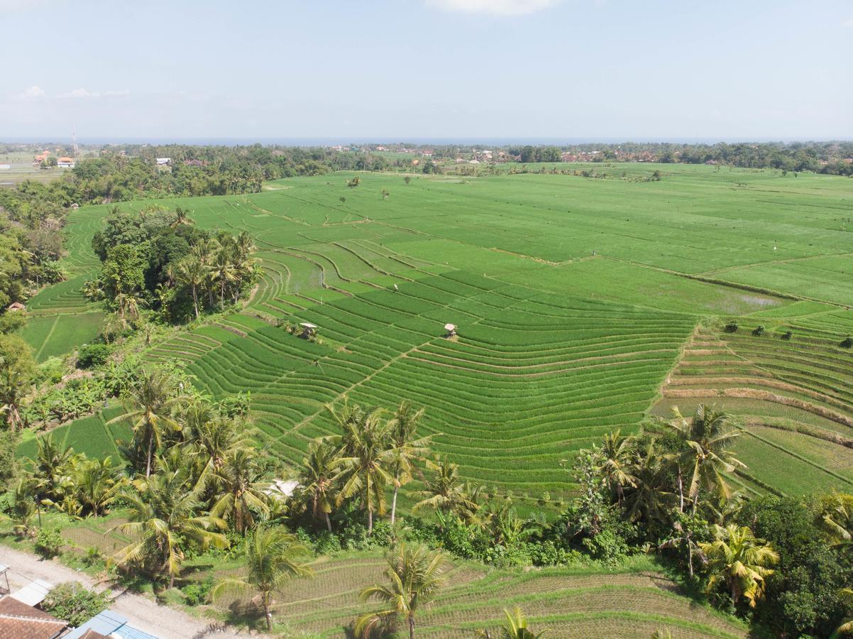 De Moksha Eco Friendly Boutique Resort Tanah Lot Kültér fotó