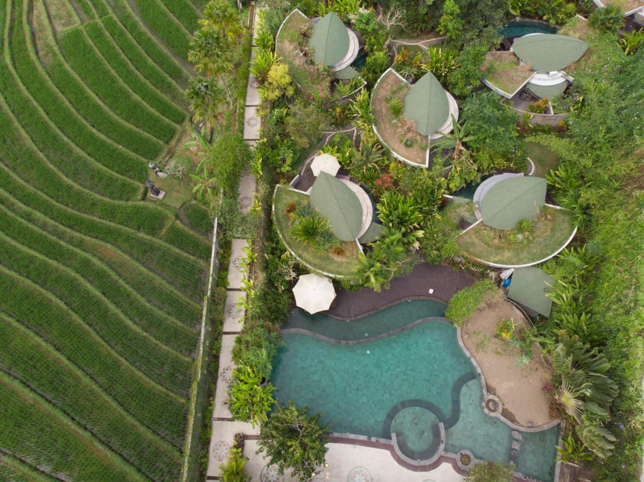 De Moksha Eco Friendly Boutique Resort Tanah Lot Kültér fotó